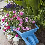 Selimiye Mavisi Bed & Breakfast