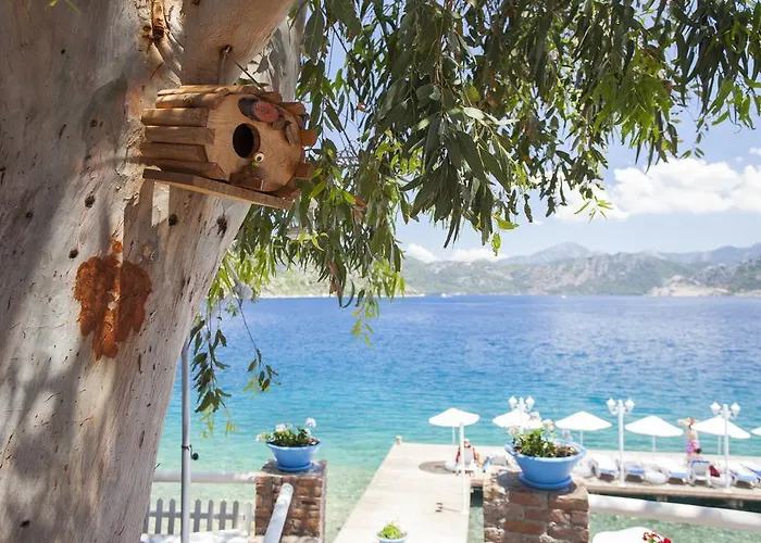 Selimiye Mavisi Bed & Breakfast Selimiye (Aegean)