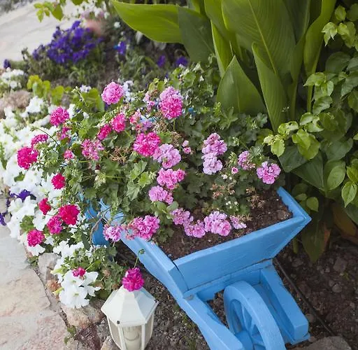 Selimiye Mavisi Bed & Breakfast